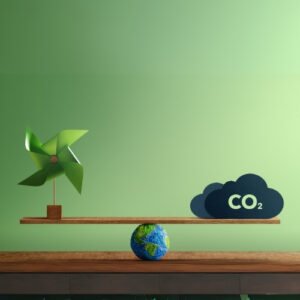 Carbon Credit Consultant Dr Lal Bhatia | Business Profitability