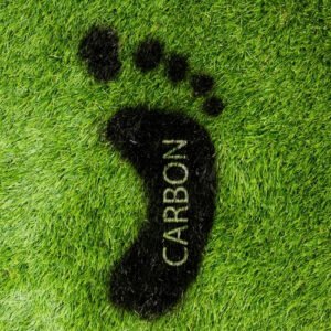 Carbon Credit Consulting Dubai Dr Lal Bhatia